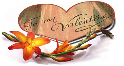 A Celebration of Valentine's Day with Poems of Passion